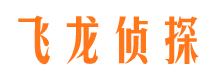 湖北侦探公司